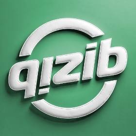 qizib.com